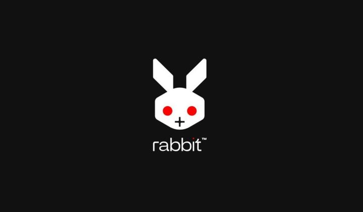 rabbit Gathers $20M to Propel AI-Powered Personalized Operating System
